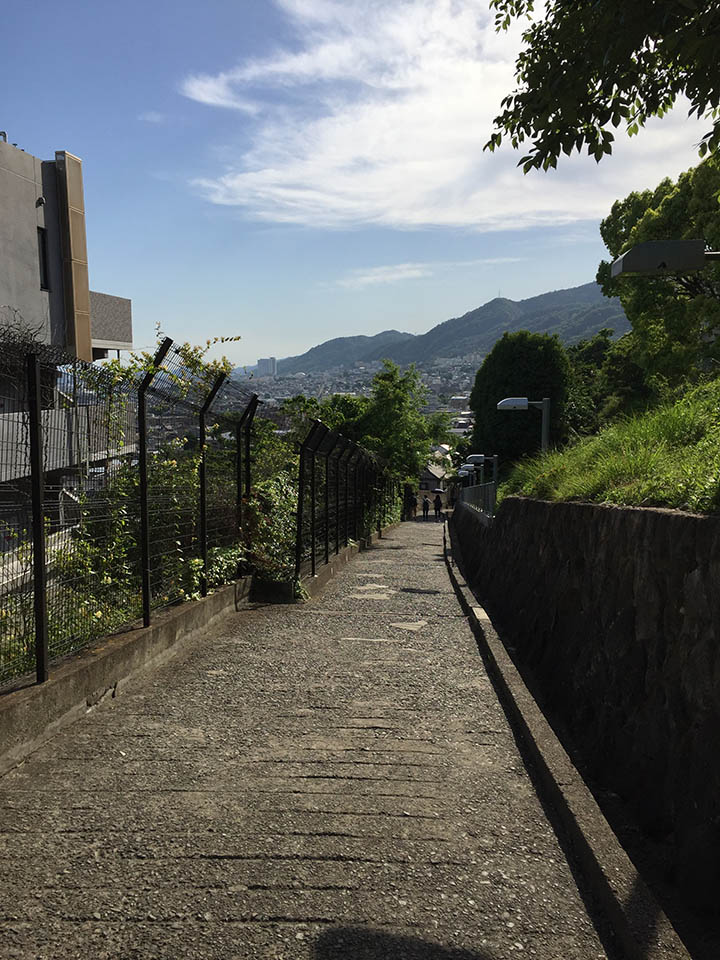 パラレルパドル 神戸大学大学院との共同研究2029年3月編のイメージ画像