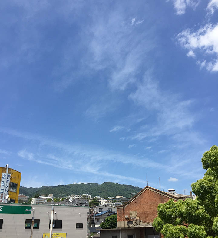 パラレルパドル 神戸大学大学院との共同研究2029年5月編のイメージ画像