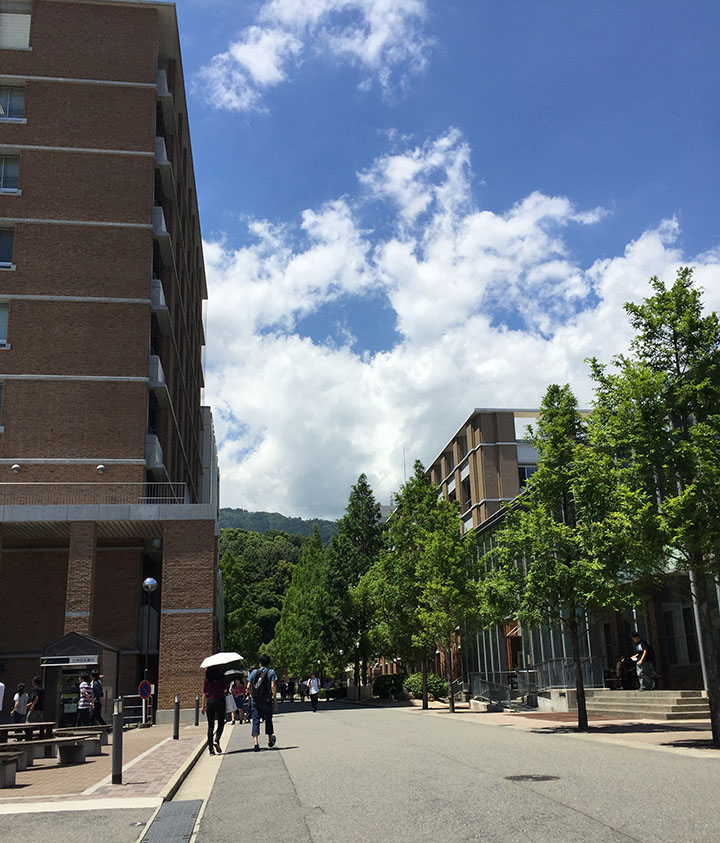 パラレルパドル 神戸大学大学院との共同研究2029年6月編のイメージ画像